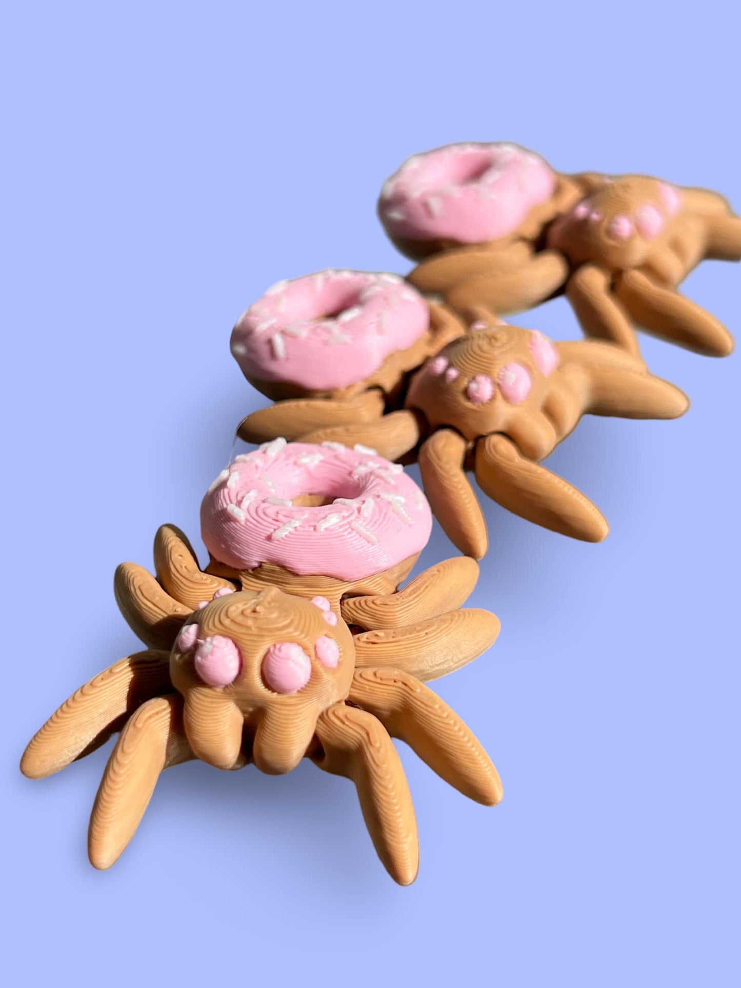 Baby Donut Spider