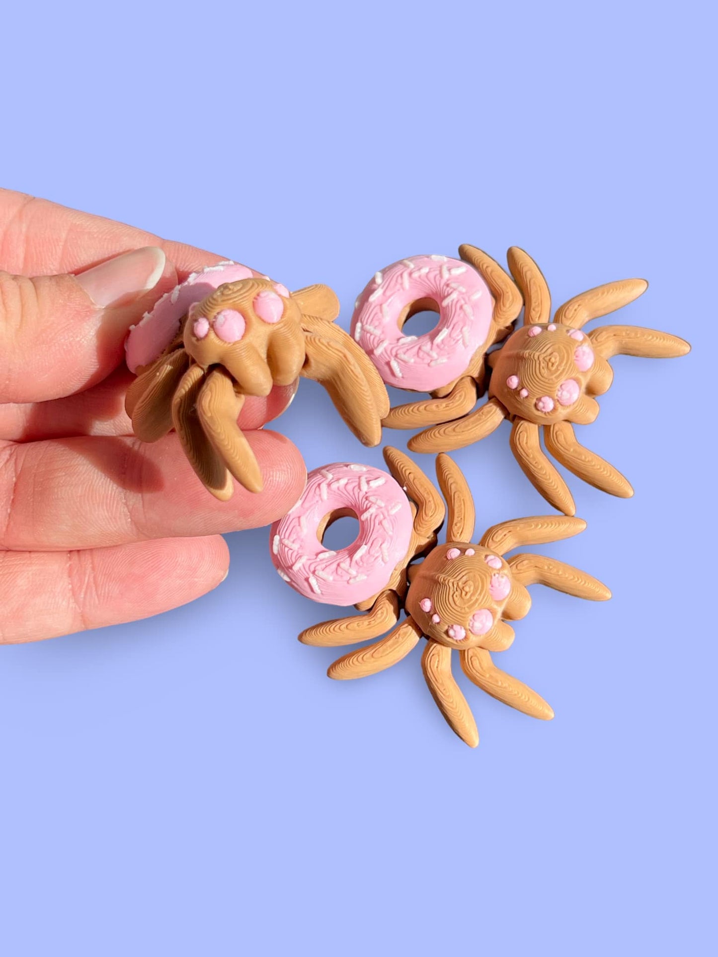 Baby Donut Spider